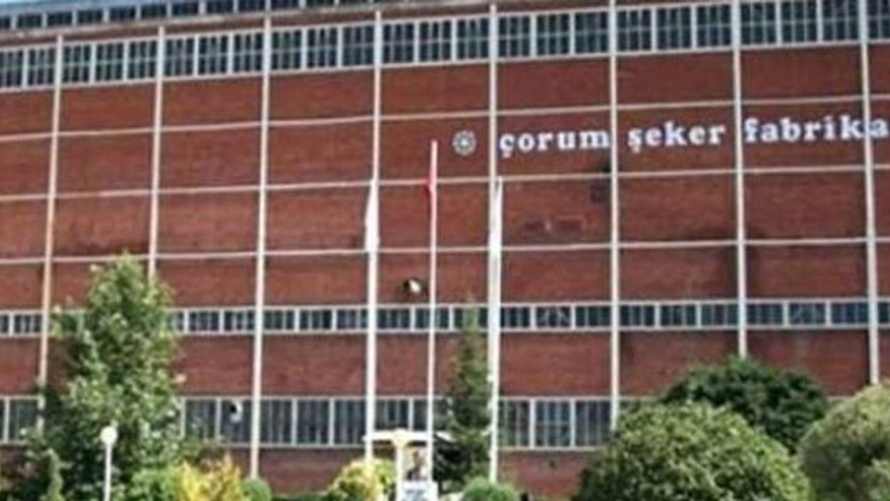 Çorum'daki dev fabrika 528 milyon liraya el değiştirdi! İhalede rekor teklif geldi