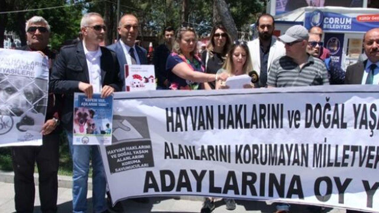 “Hayvan hakları ile ilgili bir bakanlık kuracağız”