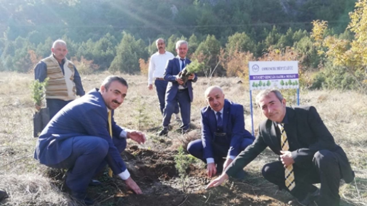 Müftülükten fidan dikimine destek