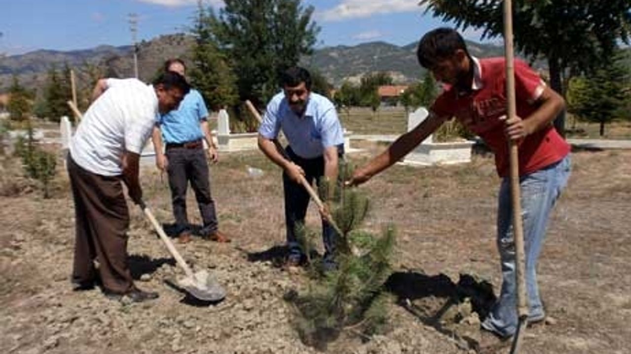  Osmancık Gemici Mezarlığı Ağaçlandırıldı