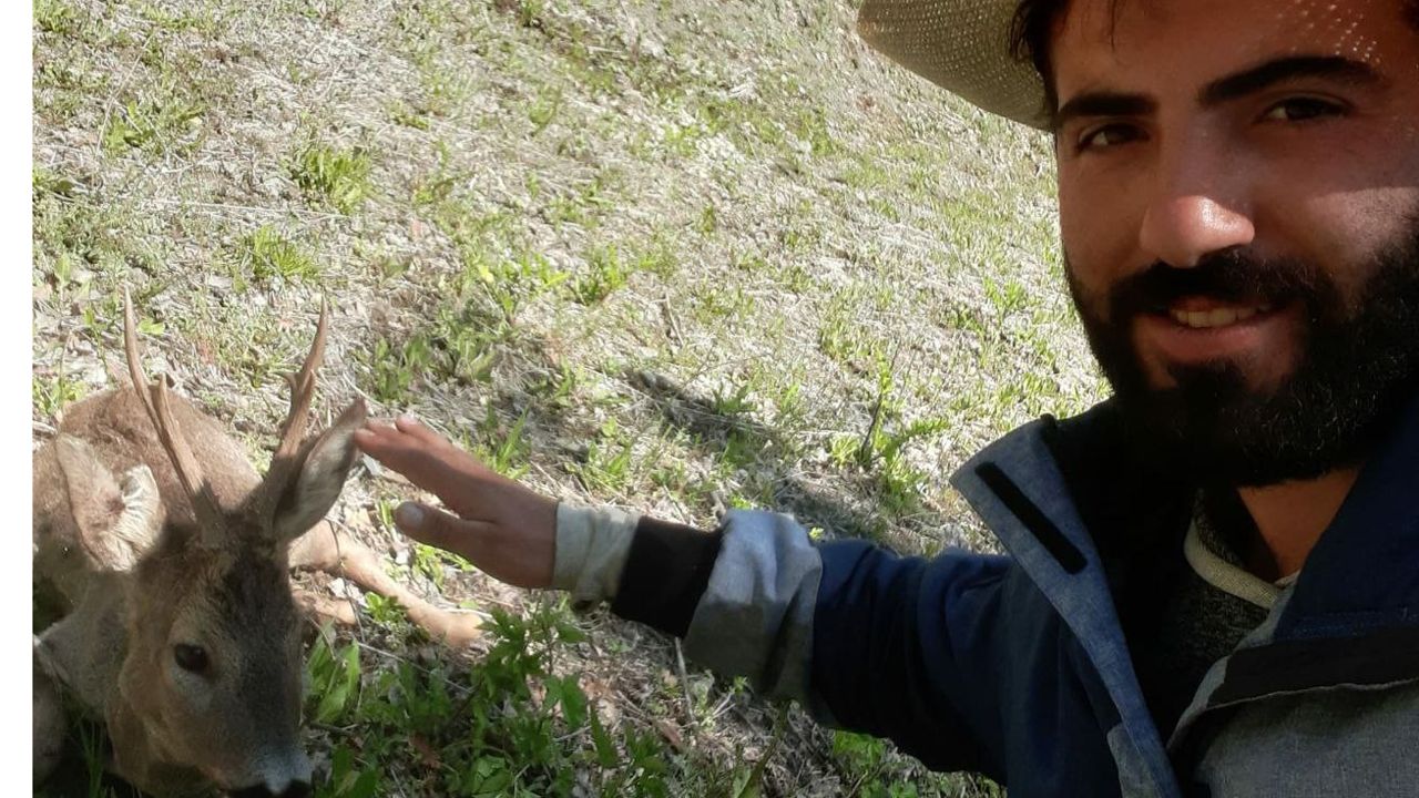 Mantar toplamak için gittiği arazide yaralı karaca yavrusu buldu