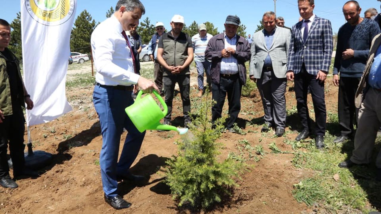 Vali Mustafa Çiftçi, Turgut köyünde fidan dikti