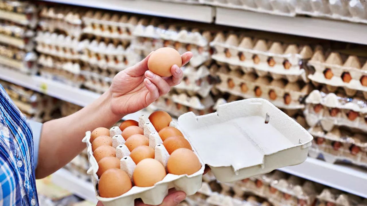 Yumurta fiyatlarına yüzde 40 zam yolda