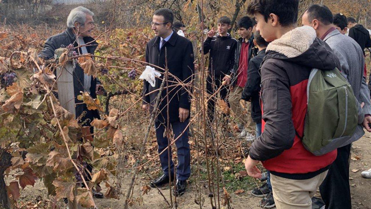 Tarım Lisesi öğrencileri örnek meyve bahçesini inceledi