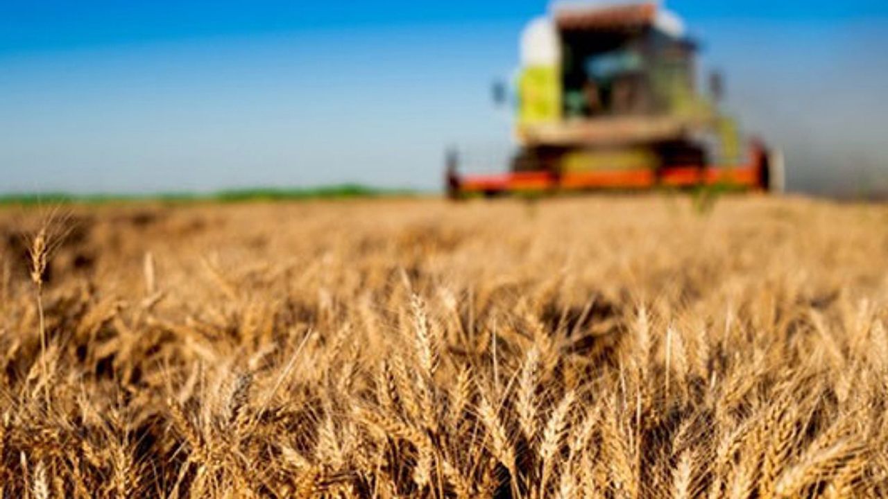 Tarım-ÜFE yıllık yüzde 71,96 arttı