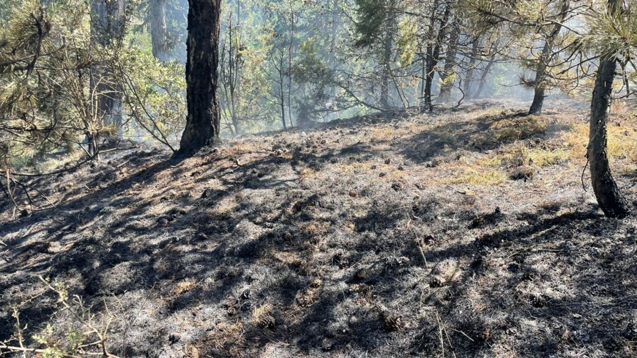Bolu'da ormanlık alanda çıkan yangın söndürüldü