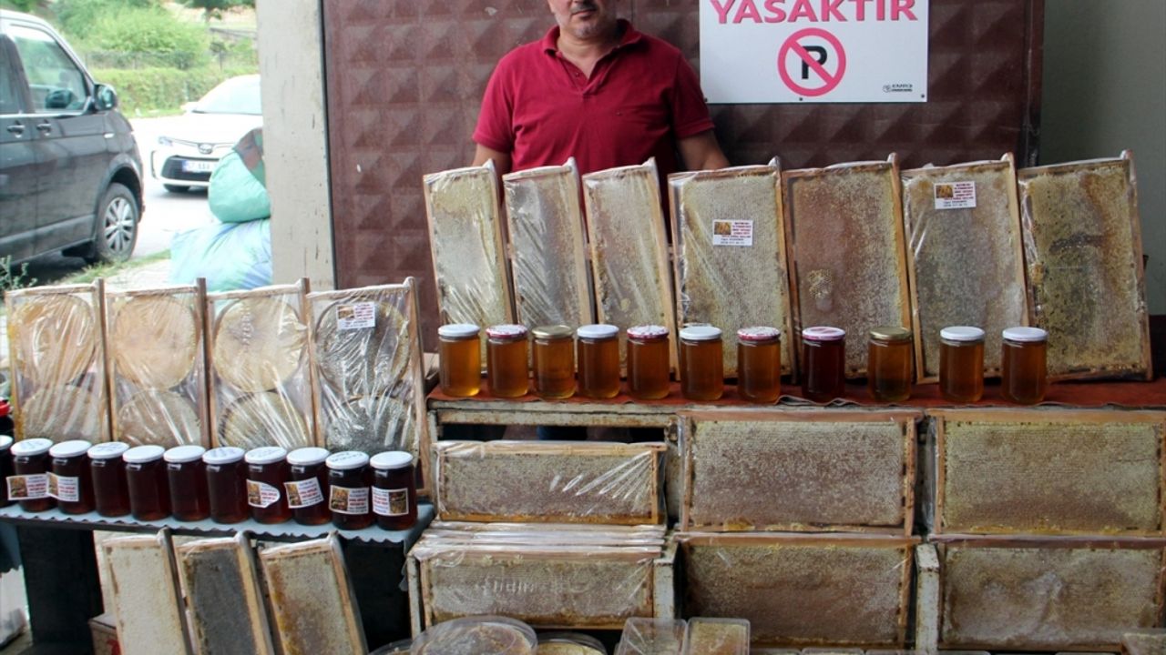 Sinop'ta bal rekoltesinde düşüş yaşanıyor