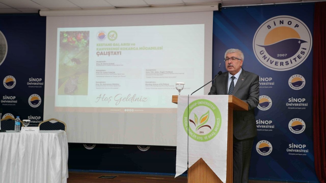 Sinop'ta Kestane Gal Arısı ve Kahverengi Kokarca Mücadelesi Çalıştayı düzenlendi