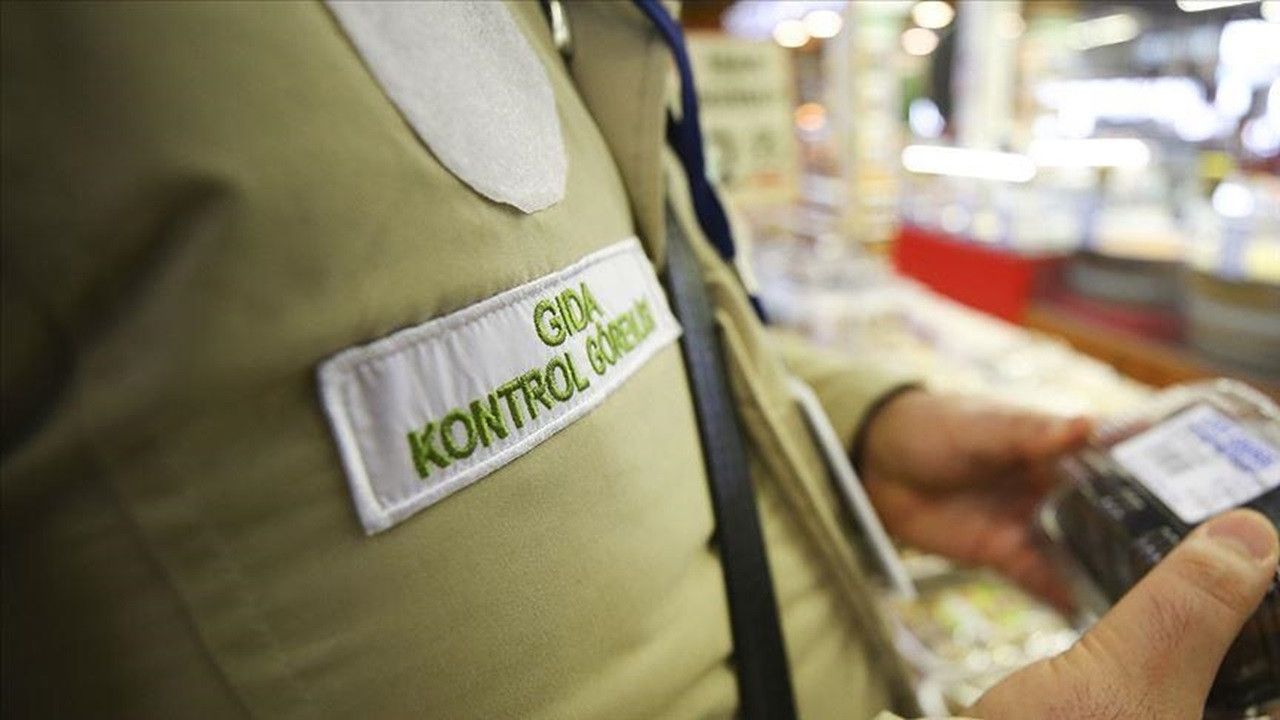 Tarım ve Orman Bakanlığı Hileli Gıdaları Açıkladı: Yoğurttan Köfteye, İşte Güncellenen Taklit ve Tağşiş Listesi