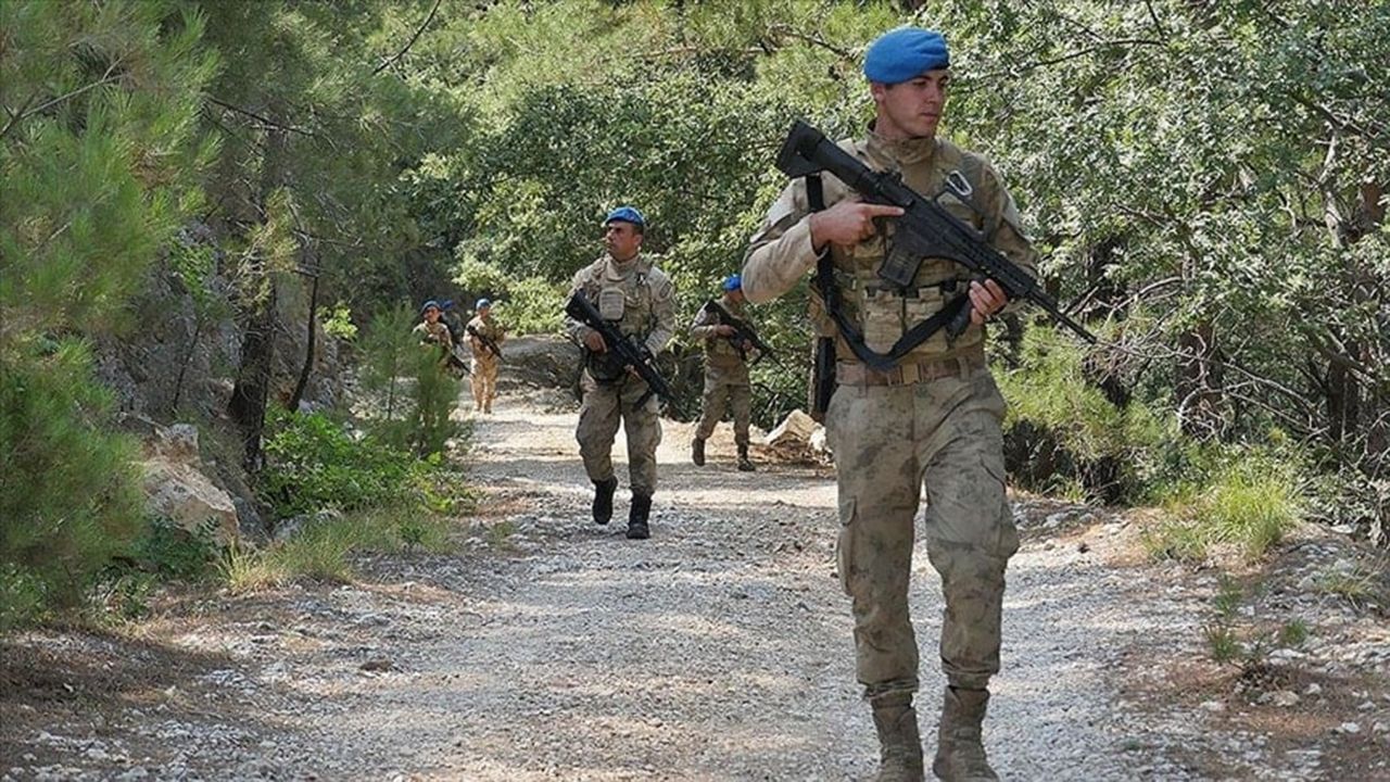 Fiyatı 600 bin liraya dayandı, jandarma tarlada devriyeye başladı