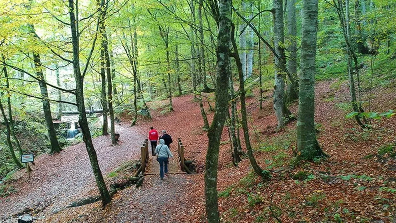 Kaçak girene 4 kat ceza: Milli park yasası resmen değişti