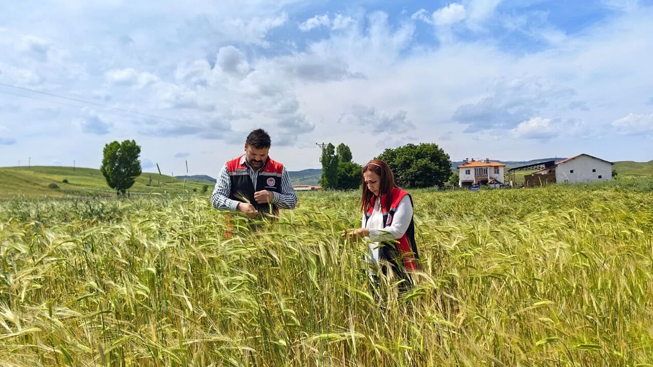 Çorum'da fenolojik gözlem çalışmaları sürüyor