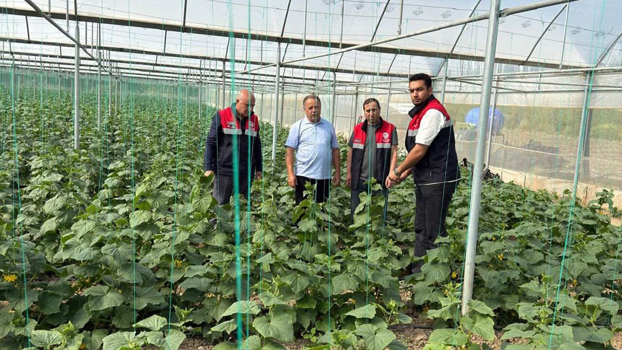 Mecitözü'nde tarımsal üretim sahada takip ediliyor