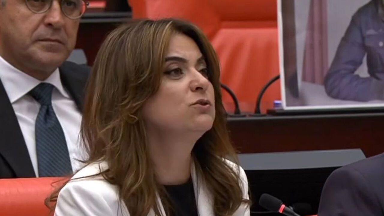 DEM Partili Koçyiğit, Çorum'daki Alevi buluşmasını TBMM günd