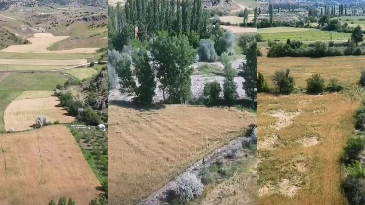 Osmancık’ta tarım alanları yağış sonrası mercek altına alınd