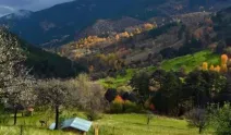 Karadeniz’i aratmayan güzellik: Çorum’un Yaylaları görenleri büyülüyor