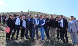 Sungurlu'da ağaçlandırma seferberliği: 50 bin fidan toprakla buluştu
