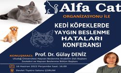 Kedi ve Köpeklerde yaygın beslenme hataları konferansı verilecek