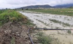 Sağanak yağış ve dolu tarım arazilerini vurdu