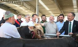 Vatandaşlardan Halil İbrahim Aşgın'a hayvan pazarı teşekkürü