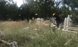 Mezarlıklar Bayram öncesi bakıma alındı