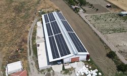 Üretim tesisinin çatısına kurduğu Güneş Enerjisi ile 300 bin kWh elektrik üretiyor