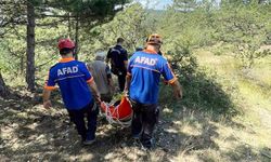 Doğa yürüyüşü yapmak için gittiği ormanda can verdi