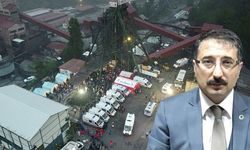 'Madenler için devlet kontrol mekanizması oluşturmalı'
