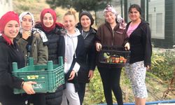 Yurt öğrencileri turşu yapımını geleneksel hale getirdi
