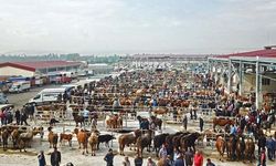 Çorum'da tüm Hayvan Pazarları süresiz kapatıldı