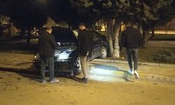 Kontrolden çıkan otomobil ağaca çarptı: 5 yaralı!