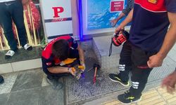 ATM'ye sıkışan yavru kediyi itfaiye kurtardı