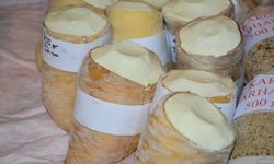  “Kargı Tulum Peyniri” Çorum'un gündeminde