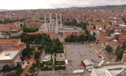 Hayvanların isimleri şehirlere verilse Kırıkkale'nin adı ne olurdu?