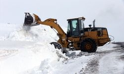 ERZURUM - Kar etkili oldu