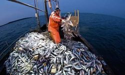 2023-2024 balıkçılık av sezonu 15 Nisan’da kapanıyor