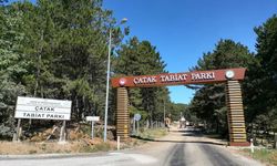 Çatak Tabiat Parkı, misafirlerini bekliyor
