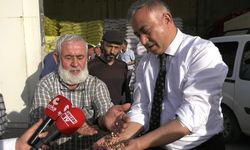 Mehmet Tahtasız : Hibeli nohut tohumuna hile karıştırdılar!