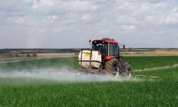 Çiftçilere önemli uyarı! Rüzgarlı havalarda ilaçlama tarım arazilerine zarar veriyor