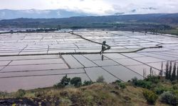 Kargı’da çeltik komisyonu önemli kararlar aldı