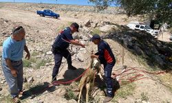 Aksaray'da Çay Molası Kurtuluş Getirdi: Kuyuya Düşen Koyun Kurtarıldı