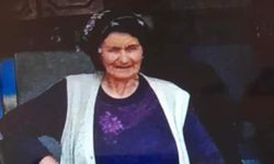Yaşlı Kadın, Arı sokması sonucu hayatını kaybetti