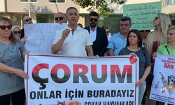 CHP Çorum Milletvekili Mehmet Tahtasız, Cumhurbaşkanı Erdoğan’a yasa teklifini geri çekin çağrısında bulundu