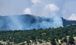 Osmancık'ta çıkan orman yangını kontrol altına alındı