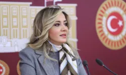 İYİ Parti Isparta Milletvekili Aylin Cesur İstifa Etti
