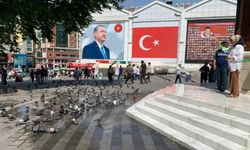 Bursa'da sıcaktan bunalan güvercinler böyle serinledi