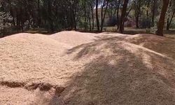 Sivas'ta Sel Felaketi: 70 Ton Buğday Kullanılamaz Hale Geldi