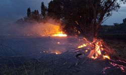 Çorum İskilip'te Yangın Felaketi: Elektrik Tellerinden Saçılan Kıvılcımlarla Başladı!