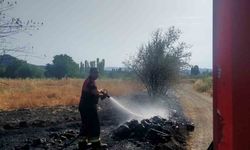 Çorum Osmancık'ta Örtü Yangını Alarmı: Ağaçlar Zarar Gördü!