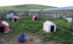 Yozgat Belediyesi’nden Örnek Proje: “Evcil Köy” Hayata Geçiyor